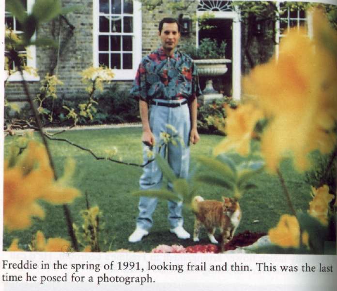 The last photo of Freddie Mercury